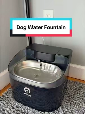 Hands down my favorite water bowl so far! #dogwater #dogfountain #petfountain #petwaterfountain #dogwaterfountain 