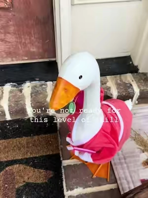 #porchgoose #goose #porchdecor @QVC, Inc 