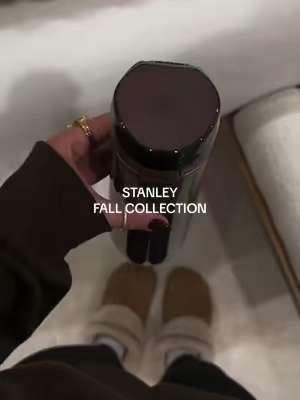 this fall drop is soooo good! 🤎 #stanley #StanleyCup #stanleytumbler #falltumbler #waterbottle @Stanley 1913 