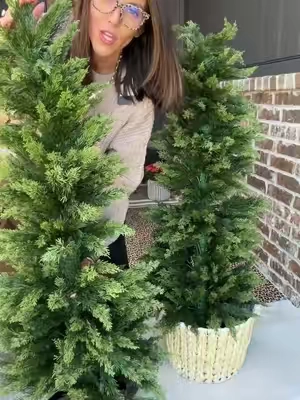 Getting ahead of Christmas decorating while the deals are still GOOD 🌲👏 These faux cedar trees are going to look so cute on the porch all season. #porchdecor #christmasdecor #fauxtree #falldealsforyou 