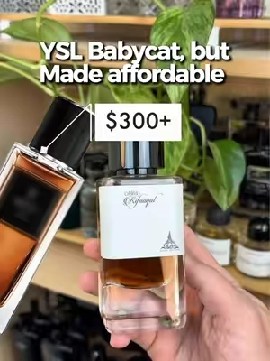 YSL Babycat vs. Paris Corner Rifaaqat - How close are they? 🤔 #fragrancetok #fragrancetiktok #fragrances #mensfragrance #yslbabycat 