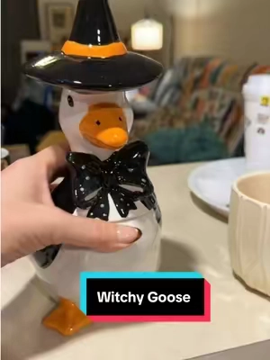 #halloweendecor #porchgoose #goose #witchy #decor 