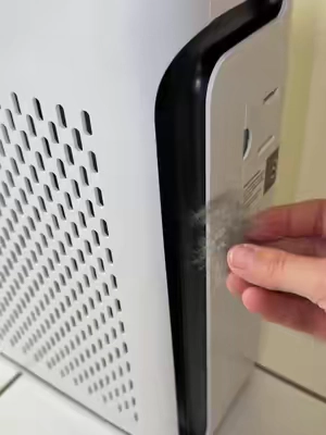 I was shocked when I saw it suck up the hair!  #petairpurifier #airpurifier #pethair #levoitairpurifier 
