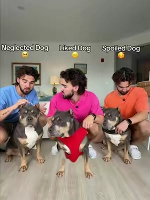 Which dog do you have?  #tiktokshopstockup 