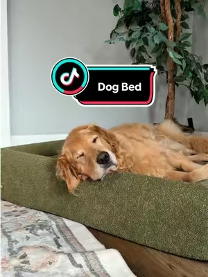 Replying to @B this is my dog’s new favorite bed 😍 #dogbed #dogaccessories #orthopedicdogbed #dogparents #petlovers 