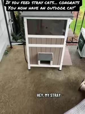 If you feed stray cats o know you also worth about where they sleep. This double decker heated, well insulated cat house has plenty of room. Weatherproof, will keep the dry and give you peace of mind. #catsoftiktok #straycat #feralcat #tiktokshopcreatorpicks #tiktokshopholidayhaul 