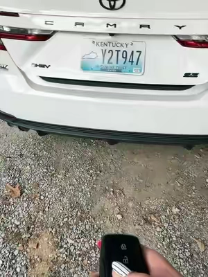7688931365240229133