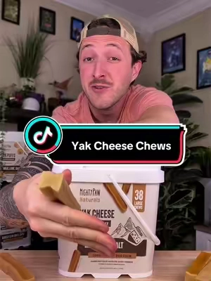 Nylon bones vs yak cheese chews, which one is better? #mightypaw #dog #dogs 