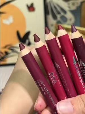12 silky matte liners. 1 sharpener. Zero smudge.#LipLiner #SmudgeProof #MatteLip #LipKit #WaterproofMakeup     