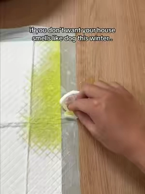 Tired of masking dog pee stench just with candles? This spray fixes it for good 🤯 #DogParentHacks #PetOdorRemover #PetSafeCleaning #HomeCleaningHacks 