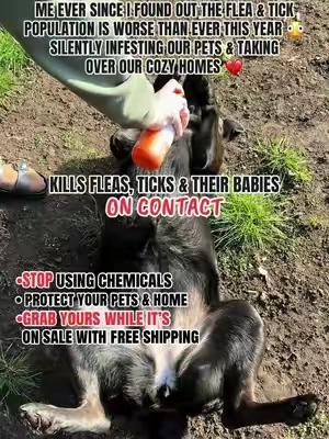 In @Zesty Paws we TRUST❤️🐾 #fleaandtickprevention #fleaandtick #fleasandticks #fleaandtickspray #tiktokshopcreatorpicks 