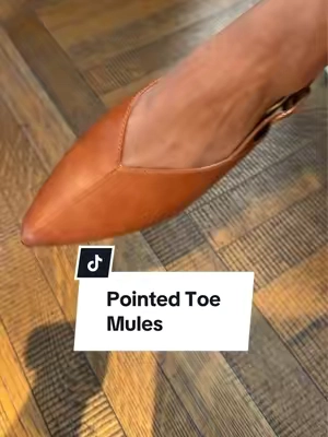 #pointedtoemules #pointedtoedflats #everydaystyle #workstyle #comfystyle 