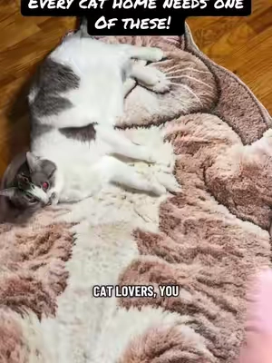 This is what you get the cat lovers in your life! I bet they don’t have one….this cat rug is unique! #catsoftiktok #catlover #catlife #tiktokshopcreatorpicks #tiktokshopholidayhaul 