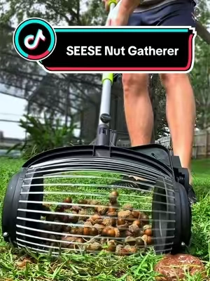 This nut gatherer by Seese is perfect for fall since all these nuts are everywhere! #fall #acorns #seese #tiktokshopstockup 