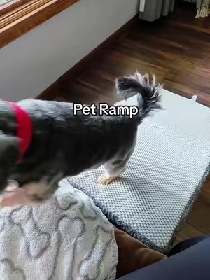 For the little dogs who want to be wherever you are 🥹 A dog ramp makes getting on and off the couch or bed so much easier, especially for small dogs with little legs. A helpful dog ramp for small dogs, older dogs, and pups who need a little extra help getting up and down. 🐶 #dogramp #smalldog #dogmoms #dogaccessories #petramp 