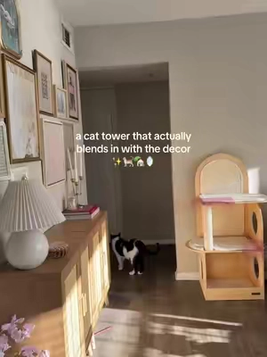 reminder that cat trees don’t have to be ugly!! ✨ tossed our ugly, torn apart green cactus one for this modern upgrade, and it looks fabulous- made of such nice quality wood, removable covers to clean, and lots of scratching/sleeping spots! #cats #catsoftiktok #cattree #cattower #homedecor 