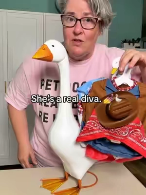 Apparently the porch goose comes with a full-blown fashion obsession 😂 Giddy makes every little outfit change way more fun than it should be. #Giddy #PorchGoose #PorchGooseOutfits #PorchDecor @QVC, Inc 