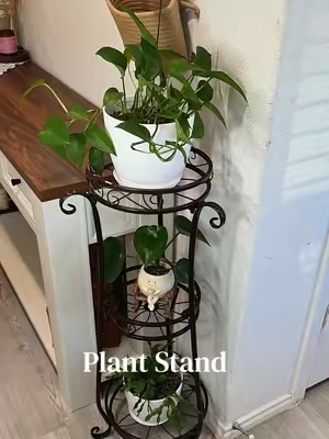 #plantstand #señoradelasplantas #PlantTok #plantmom 