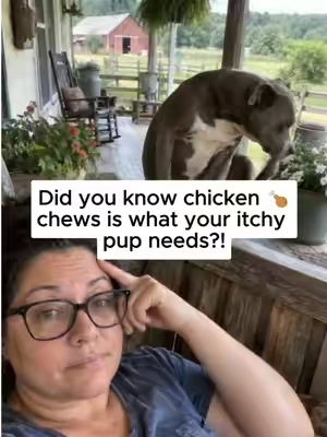 If your dog keeps scratching, licking their paws, or dealing with that “yeasty” smell… this is the daily support I keep in our routine 🐾 Carmelie Yeast Support Chews are made for dogs who need extra help with skin comfort, coat wellness, paw care, and daily yeast balance support. Formulated with a thoughtful blend of Beta-Glucan, Turmeric, FOS, Vitamin E, Biotin, Marshmallow Root, Goldenseal, Pau D’Arco, Yeast Cell Wall, and Bacillus subtilis, these chews support your dog from the inside out. ✨ Beta-Glucan — helps support normal immune function. 🌿 Turmeric — supports skin comfort and everyday wellness. 🦠 FOS + Bacillus subtilis — help support gut balance and digestive health. 💛 Vitamin E + Biotin — support healthy skin and a shiny coat. 🌱 Marshmallow Root — helps support digestive comfort. 🌿 Goldenseal + Pau D’Arco — traditionally used in botanical wellness blends to support skin and overall balance. 🐾 Yeast Cell Wall — included to support healthy yeast balance. These chews are easy to give as a daily treat, and they’re a simple way to support dogs dealing with itchy skin, paw licking, ear odor, or seasonal skin discomfort. Because when it comes to skin and yeast balance, I’d rather stay consistent all year long than wait until the problem gets worse. Daily wellness. Gentle support. Happy dogs. 🐶#yeast #tiktokshopstockup #dogmom #dogscratch #doglife 