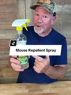 Reliant Pet - Rodent Repellent made with Peppermint Oil - Safe for Use Around kids and Pets - Made In USA #mouserepellent #micerepellent #pestcontrol #TikTokShopFalIDeal #tiktokshopcreatorpicks @Reliant Pet 