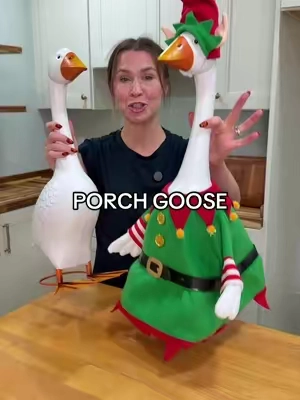 Okay but the porch goose for THAT price rn?! The perfect fall decor and Christmas Decor!  #porchgoose #goose #porchdecor #patiodecor #outdoordecor 