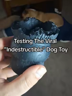 This toy was made for tough chewers! #indestructibletoy #viraldogtoy 