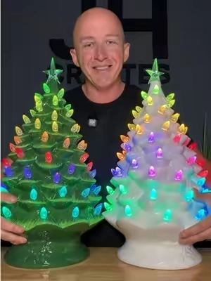 How beautiful are these ceramic Christmas trees?! 🎄 #christmastree #ceramicchristmastree #christmasdecor #christmas @QVC, Inc 