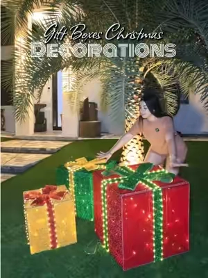 #giftbox #christmas #decoratedcookies @Flacchi Store 