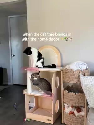 the best upgrade we could’ve made- this cat tower was built to lastttt ✨ our old fuzzy green tower was completely torn apart after a year, not to mention the worst eye sore. This new one is filled with scratching spots, sleeping places, and the cats adore it #fyp #cattree #cattower #cats #catsoftiktok 