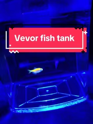 #fishtank #vevorfishtank #aquarium #vevor #aandraquariumfish what a great little small fish tank for an extremely low price comes with everything except for the rocks, even Lights blue clear and green