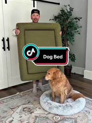my dog is obsessed  #dogbed #dogaccessories #dogparents #petlovers #orthopedicdogbed 