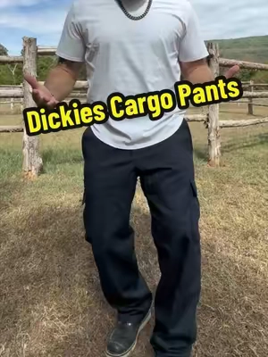 Dickies Men’s Relaxed Fit Cargo Work Pants, Wrinkle Resistant, Stain Resistant ##dickies ##cargopants ##workwear ##WorkHardStyleHarder ##tiktokshopfalldealsforyou