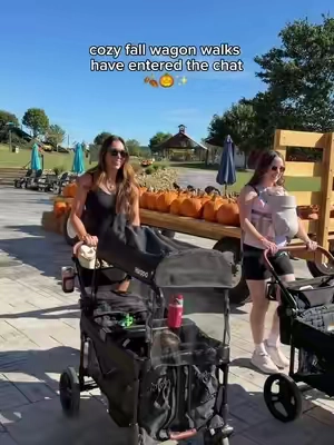 Gosh I hope you don't miss out on this! @Harppababy.us #harppababy #wagon #strollerwagon