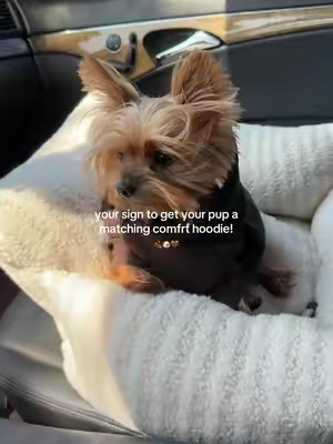 5lbs wearing an xs! it’s so cute on her! 🤎☁️#comfrt #doghoodie #yorkie #tiktokshopblackfriday #tiktokshopcybermonday 