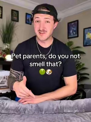Pet parents, do you not smell that? #pet #dog #cat #petsmells #tiktokshopstockup 