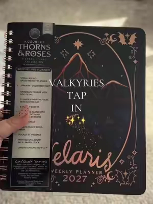 Don’t procrastinate with this one. #acotar #planner #velaris 