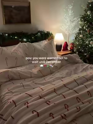 if you missed it last year👀🤫 #christmasbedding #duvetcover #duvet 