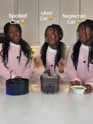Spoil your kitty🐈  #catwaterfountain #catfountain #waterfountain #catsoftiktok #catowners 