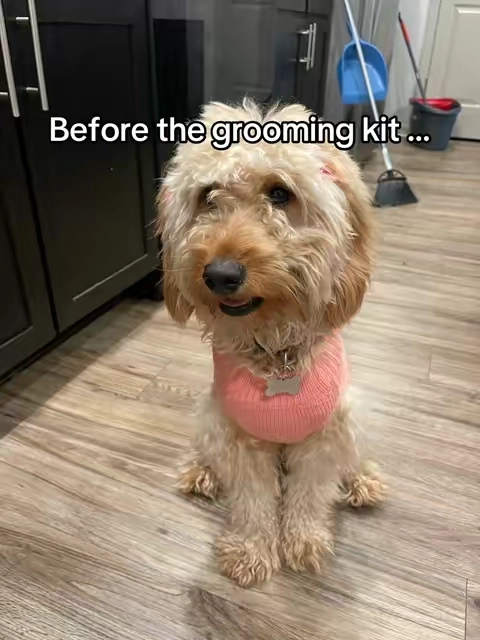 If I can groom so can you super easy to use #dogs #grooming #puppy #goldendoodle 