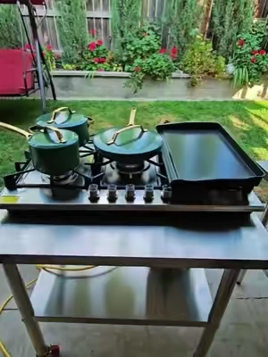 Estufa de gas, estufa de vevor, gas Stove  #gasstove #estufa #vevor #tiktokshopcreatorpicks #tiktokshopstockup 