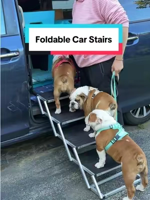 Love these dog stairs!!  #dogstairs #carstairs #dogsteps #dogjointhealth #dogtamp