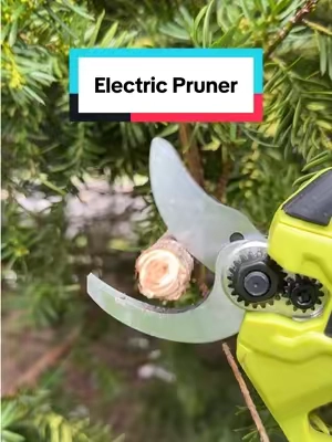 Love this new electric pruner. only problem is the cleanup after i go crazy with it!! 😂😂 #pruning #electricpruner #cordlesspruner #polesaw #fallcleanup 