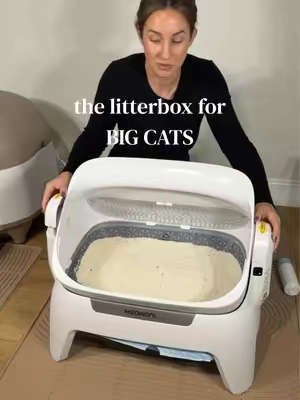 Replying to @the_confused_bish the one my cats prefer! #automaticlitterbox #selfcleaninglitterbox #ragdollcat #mainecoon #tiktokshopstockup 