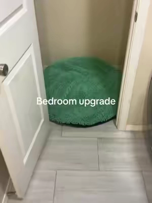 They love this dog bed. #muddymat #petbed #dogbed #PetsOfTikTok #TikTokShopFallDealsForYou 