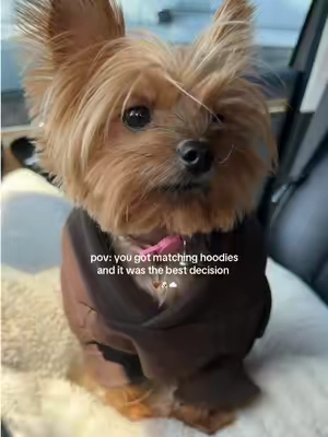 she’s so cute in it! 5lbs wearing xs! 🤎🍂 #comfrt #doghoodie #yorkie #tiktokshopblackfriday #tiktokshopcybermonday 