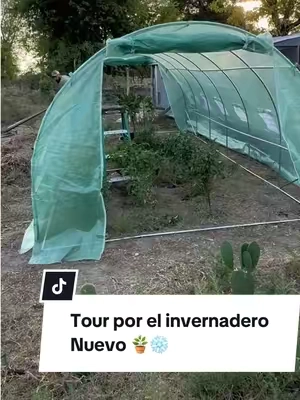 Invernadero para proteger las plantas del frío, ya más que listos. Ya casi está por completo. Falta colocarle la tierra alrededor, pero vean que grande es #tunnelgreenhouse #greenhouse #wintergreenhouse #tiktokshopstockup #tiktokshopcreatorpicks 