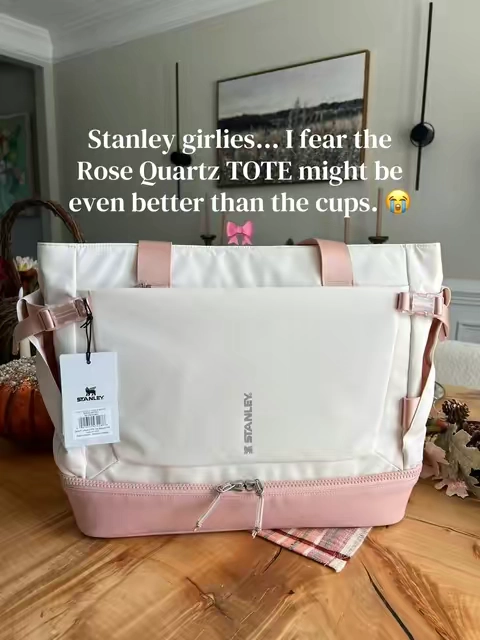 This is absolutely going to be one of those gifts where you buy one for her… and then immediately order another for yourself. 😂🎀 #stanley #stanleytote #tote #totebag #falldealsforyou 