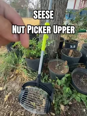 SEESE Nut & Pecan Picker Upper