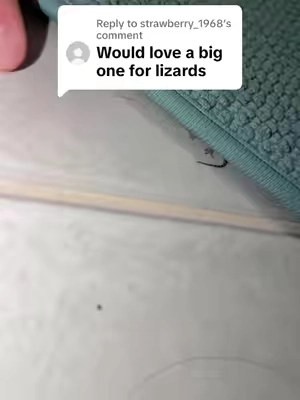 Replying to @strawberry_1968 I’ve actually used this for lizards before funny enough! 
