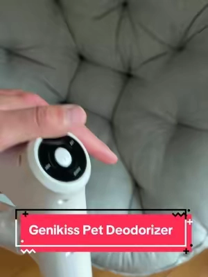 I love this thing! #odorelimination #petodoreliminator #dogodor #tiktokshopcreatorpicks #CleanTok 